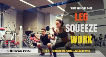 Leg Squeeze Workout: Targeted Muscles and Benefits Explained