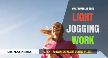 Light Jogging Benefits: Muscles Worked and Fitness Impact Explained