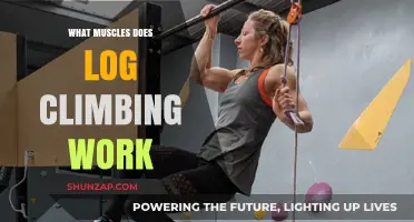 Log Climbing: Target Muscles and Full-Body Benefits Explained