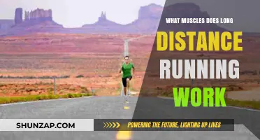 Long Distance Running: Key Muscles Engaged and Strengthened