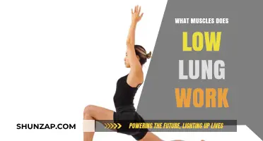 Low Lunges: Target Muscles and Benefits for Lower Body Strength