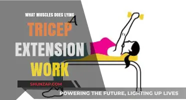 Lying Tricep Extension: Target Muscles and Effective Workout Benefits