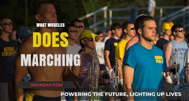 Marching Muscles: Targeting Lower Body Strength