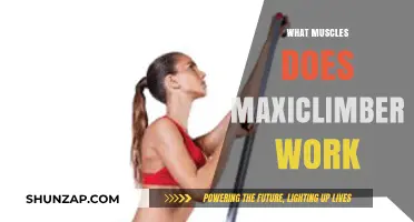 MaxiClimber Muscle Workout: Targeted Muscles and Full-Body Benefits