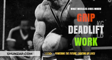Mixed Grip Deadlift: Target Muscles and Strength Benefits Explained