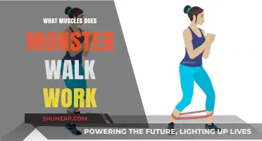 Monster Walk Muscles: Targeted Glutes, Quads, and Core Activation Explained