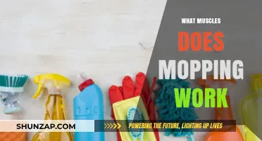 Mopping Muscles: Unveiling the Surprising Workout Benefits of Cleaning Floors