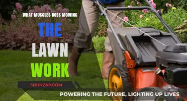 Mowing the Lawn: A Full-Body Workout for Surprising Muscles