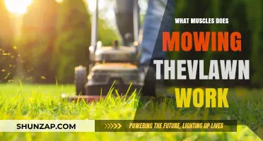 Mowing the Lawn: A Full-Body Workout for Core, Arms, and Legs