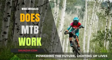 MTB Muscle Workout: Unlocking Full-Body Strength on the Trails