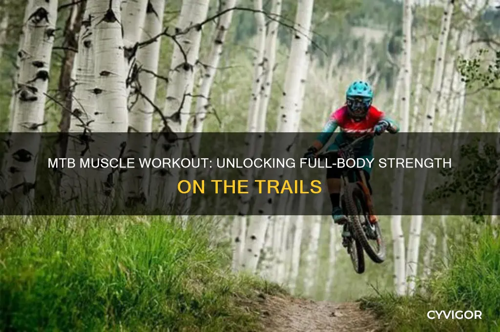 what muscles does mtb work