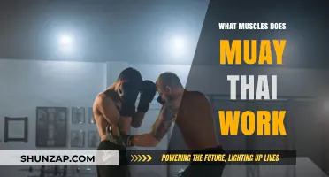 Muay Thai Muscle Mastery: Unlocking Full-Body Strength and Agility