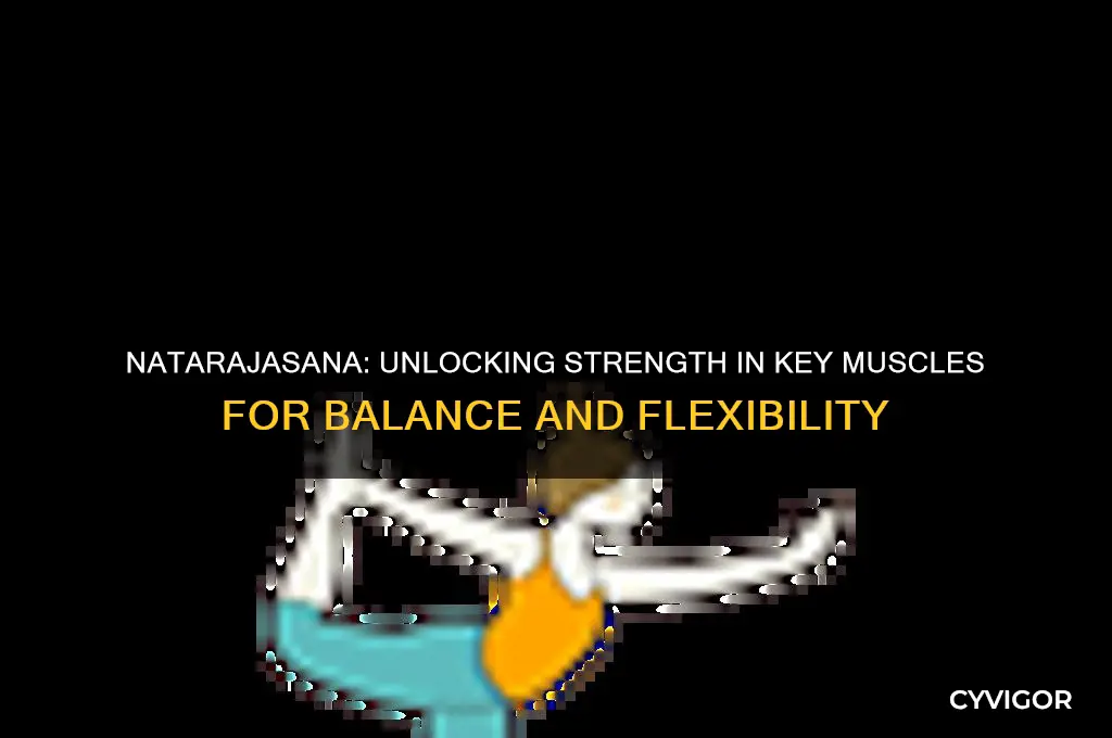what muscles does natarajasana work