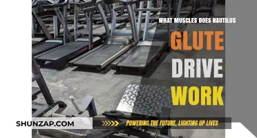 Nautilus Glute Drive: Targeted Muscles and Benefits Explained