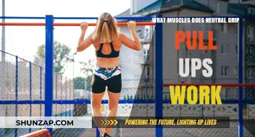 Neutral Grip Pull-Ups: Targeted Muscles and Benefits Explained
