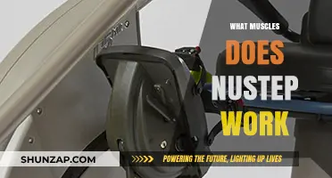 NuStep Muscles Worked: A Comprehensive Guide to Targeted Toning