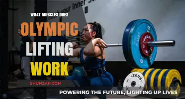 Olympic Lifting: Target Muscles and Full-Body Strength Benefits