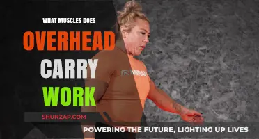 Overhead Carry Benefits: Targeted Muscles and Functional Strength Explained