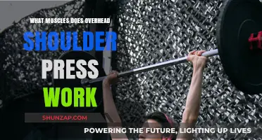 Overhead Shoulder Press: Target Muscles and Benefits Explained