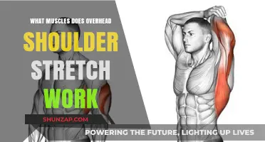 Overhead Shoulder Stretch: Target Muscles and Benefits Explained