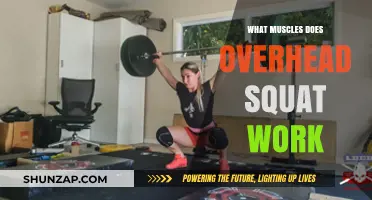 Overhead Squat Muscles: Targeted Strength and Stability Benefits Explained