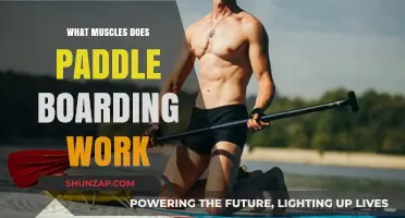 Paddle Boarding Workout: Muscles Engaged and Strengthened on the Water