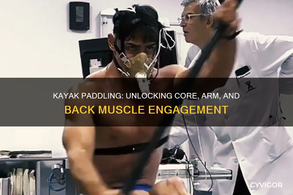 what muscles does paddling a kayak work