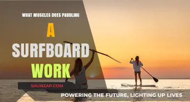 Paddling a Surfboard: Unlocking Core, Arm, and Back Muscles
