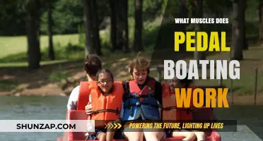 Pedal Boating Benefits: Target Muscles and Full-Body Workout Explained