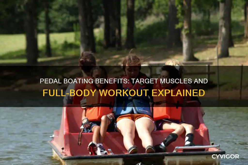 what muscles does pedal boating work