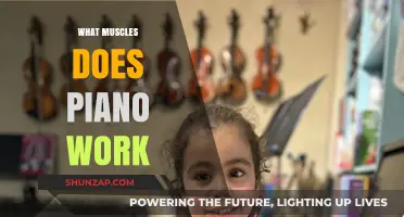 Piano Power: Unlocking the Muscles Behind Every Keystroke