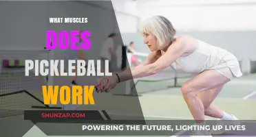 Pickleball's Power: Muscles Engaged in Every Swing and Step