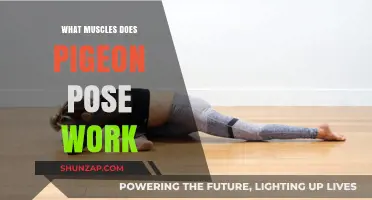 Pigeon Pose Benefits: Targeted Muscles and Flexibility Explained