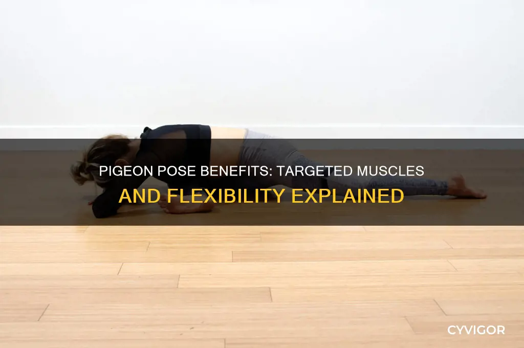 what muscles does pigeon pose work