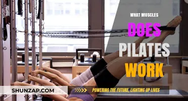 Pilates Power: Targeting Core, Flexibility, and Full-Body Strength