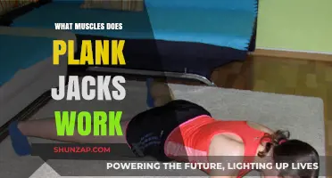 Plank Jacks: Target Muscles and Full-Body Benefits Explained