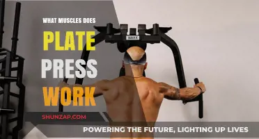 Plate Press Muscles: Targeted Strength Training for Upper Body Power
