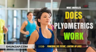 Plyometrics Power: Targeting Muscles for Explosive Strength and Speed