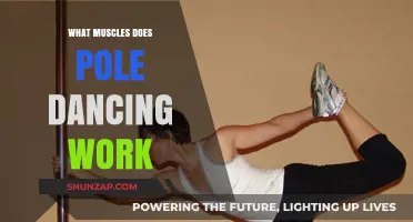 Pole Dancing Muscles: Unveiling the Full-Body Strength and Tone Benefits