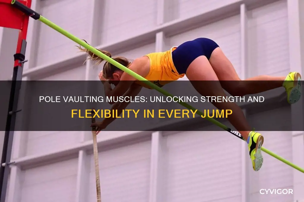 what muscles does pole vaulting work