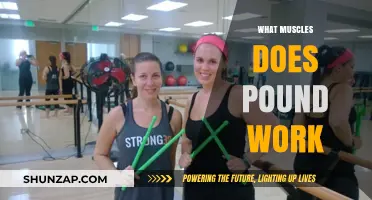 Pound Workout Muscles: A Full-Body Breakdown of Targeted Areas