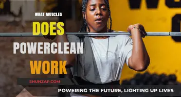 Power Clean Muscles: Targeted Strength Training Benefits Explained