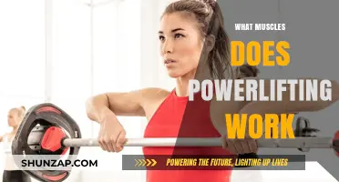 Powerlifting's Muscle Impact: Targeted Strength Training for Full-Body Development