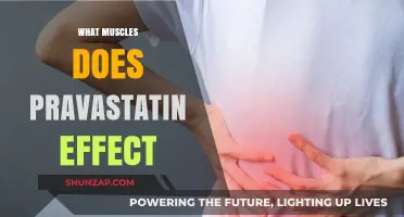 Pravastatin: Muscles Affected and How