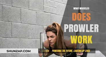 Prowler Workout Benefits: Targeted Muscles and Full-Body Engagement Explained