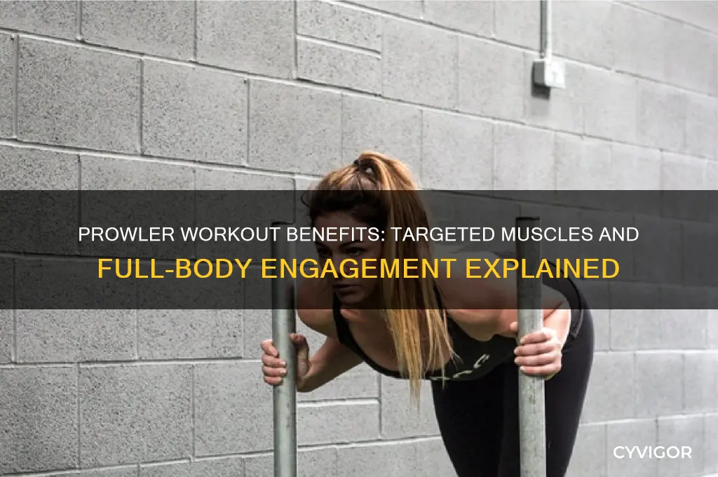 what muscles does prowler work