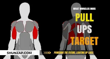 Pull-Ups: Unlocking Strength in Back, Arms, and Core Muscles