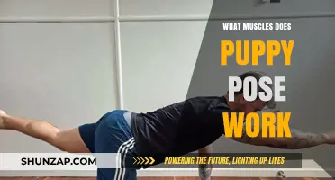Puppy Pose Benefits: Targeted Muscles and Relaxation Explained