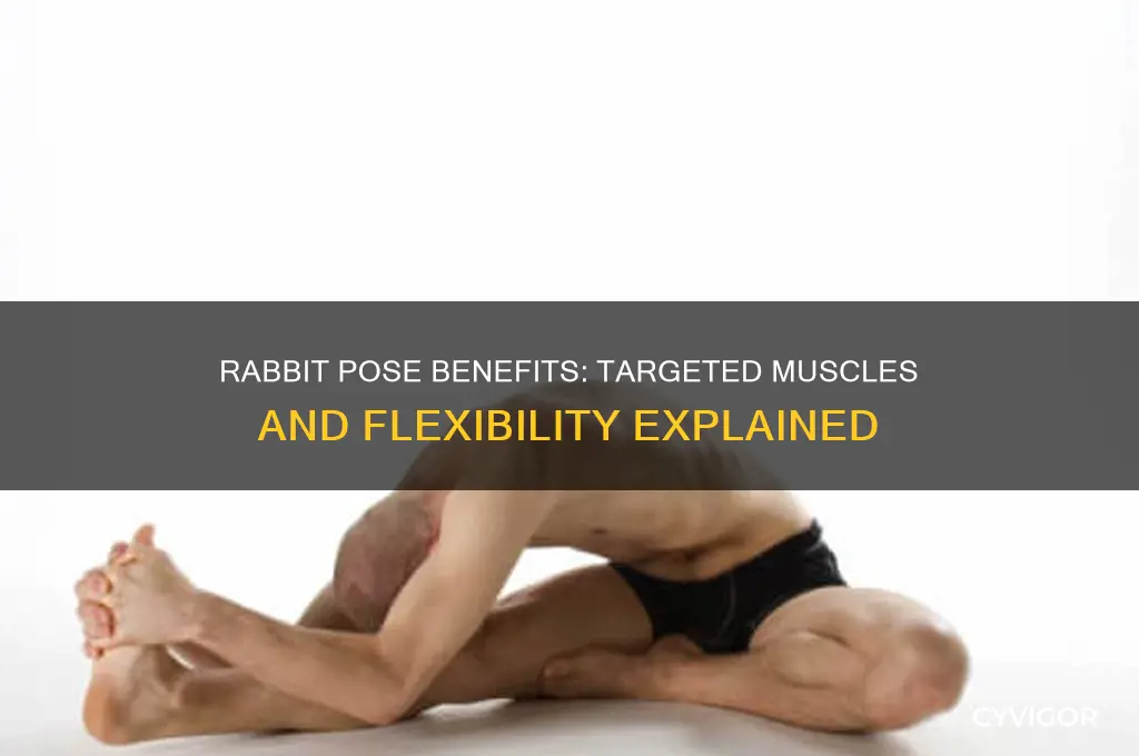 what muscles does rabbit pose work