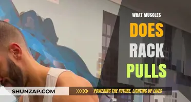 Rack Pulls: Targeted Muscles and Strength Benefits Explained